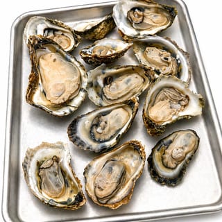 12 Oysters Shucked